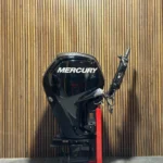 2018 Mercury 100 HP EFI outboard engine.