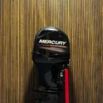 2015 Mercury 115 HP EFI outboard engine.