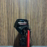 2018 Mercury 20 HP EFI outboard engine.