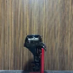 Suzuki DF15ARS outboard engine.