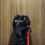 Tohatsu 100 HP EFI outboard engine.